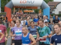 Van Goghloop 2025
